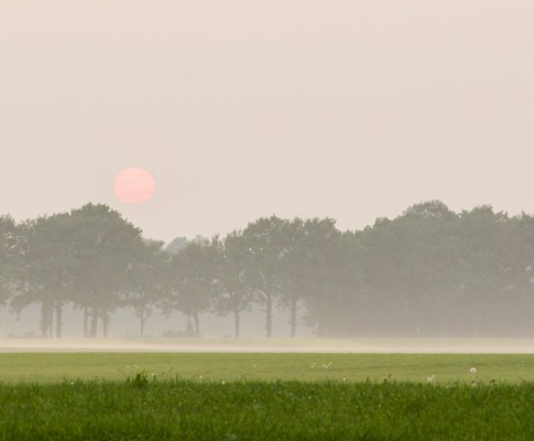 Te doen en zien in de omgeving